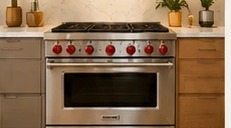 Professional-style gas range